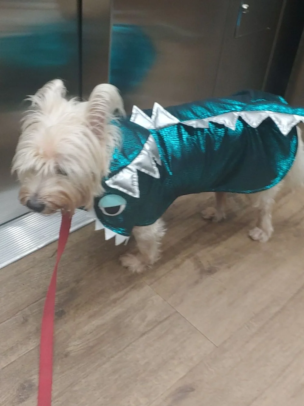 LARGE Teal Metallic Dinosaur Dog Costume Monster Costume Halloween